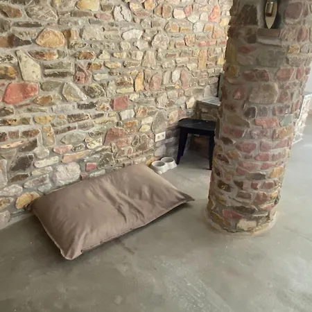 Spacious In With Jacuzzi *